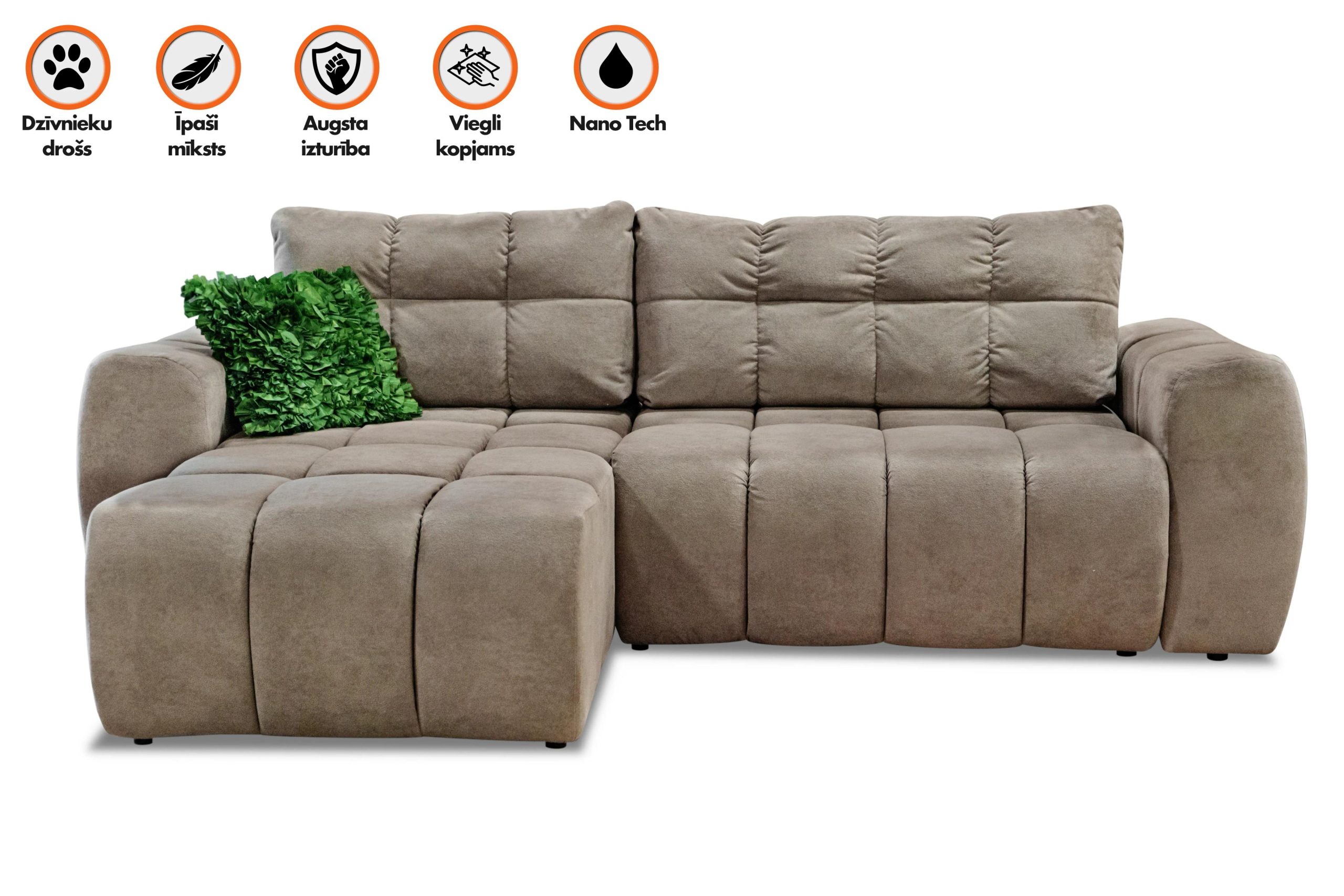 FLORIDA Exclusive Light — изображение 3